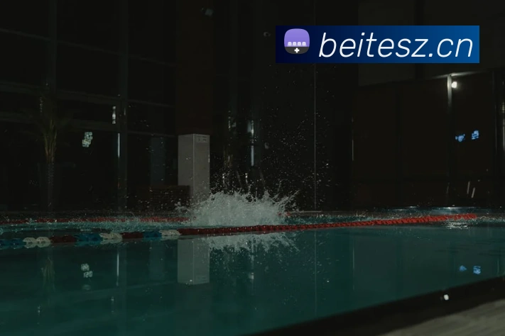 星空网官网品牌故事