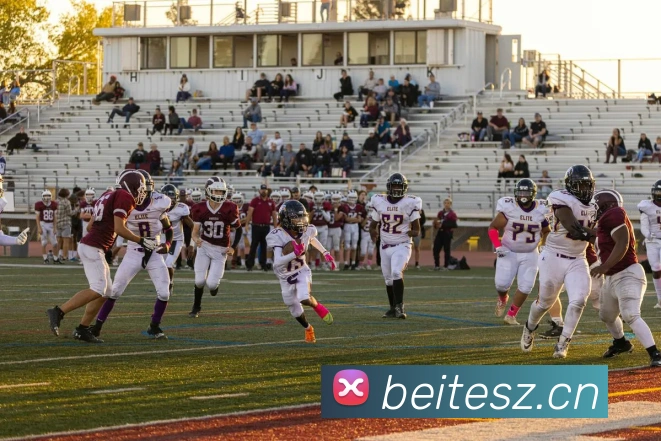 星空网官网服务体系